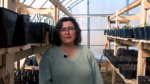 Что нового в Репейнике? Февраль-Март