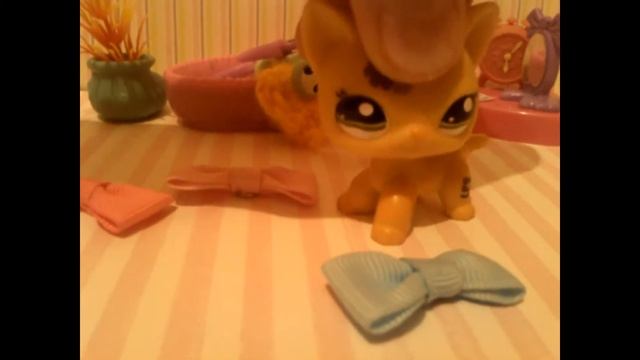 LPS Праздник 14 ФЕВРАЛЯ смотреть онлайн