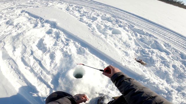 Рыбалка день второй 26.03.24 Хариус