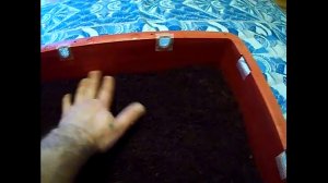 Дендробена Какой ящик выбрать для содержания.