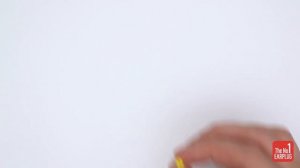 Беруши для полетов и путешествий Alpine FlyFit - как вставлять?