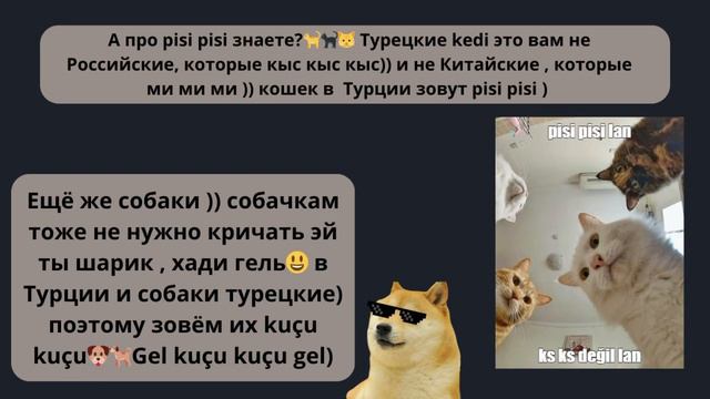 Турецкий язык