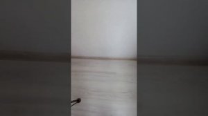 #лайфхак Как замерить комнату для укладки линолеума