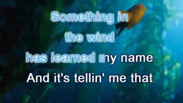 The carpenters top of the world lyrics смотреть онлайн