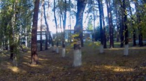 Отдых. День второй. Прогулки. Озеро Увильды.