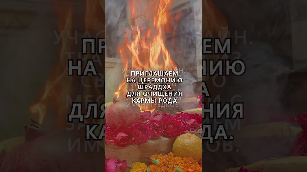 Церемония от родовых проклятий  https://t.me/olgavoroshirina/1620