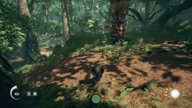 Ancestors: The Humankind Odyssey Cat Killed my pig смотреть онлайн