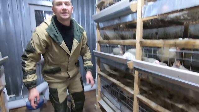 Бройлерам 50 дней на Маркорм ПК 6-2. Конец эксперимента смотреть онлайн