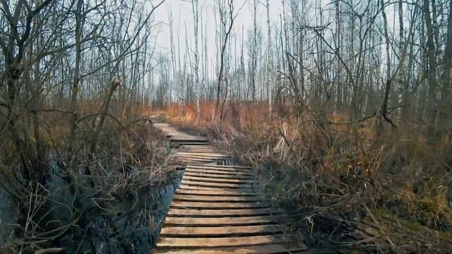 Бездонное озеро Солнечногорский район