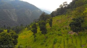 Путешествия на волнах музыки. Непал