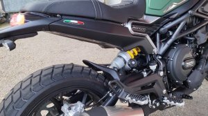 BENELLI LEONCINO 800