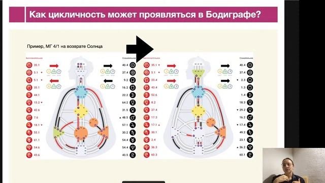 Дизайн Человека на практике: как понимать циклы?