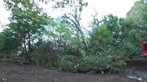 Очистка заросшего участка восстановленным бульдозером ДТ 75 (Бульдозером с помойки)