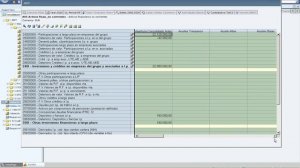 Oracle Hyperion Financial Management