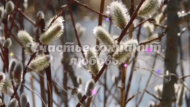 Видео поздравление, пожелание С Вербным воскресеньем! Красивая музыка и стихи для души! смотреть онлайн