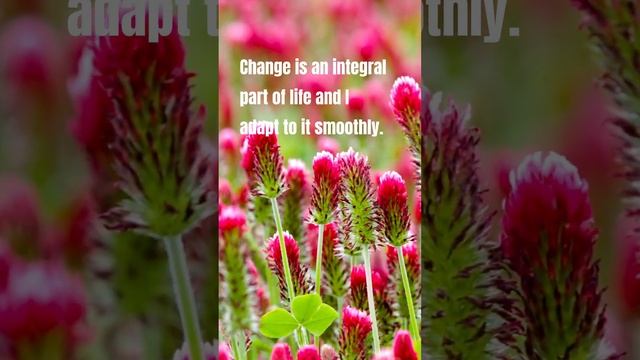 Embrace Change, Pursue Growth ?? смотреть онлайн