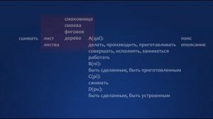 #48 Смоковные листья и опоясания Адама и Евы. Схождение первого вертикала и меридиана, Орион