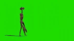 Сереноголовый футаж на зелёном фоне | green screen