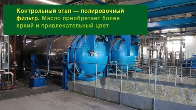 Как делают подсолнечное масло: завод «ГрадОлия» за 2 минуты