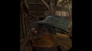 Skyrim VR | HIGGS MOD test
