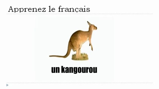 урок французского языка = Животные № 1 смотреть онлайн