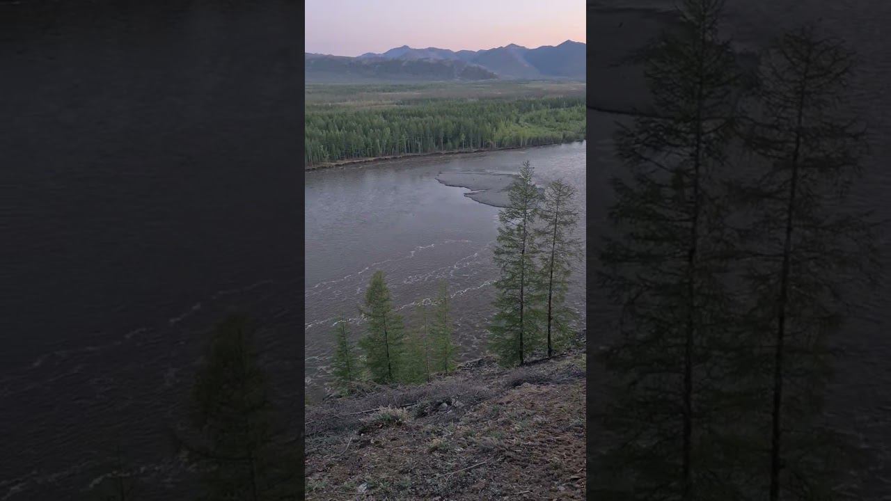 Маршальский (Эльгинский), ОКНО, 7 июня 2024 г. смотреть онлайн