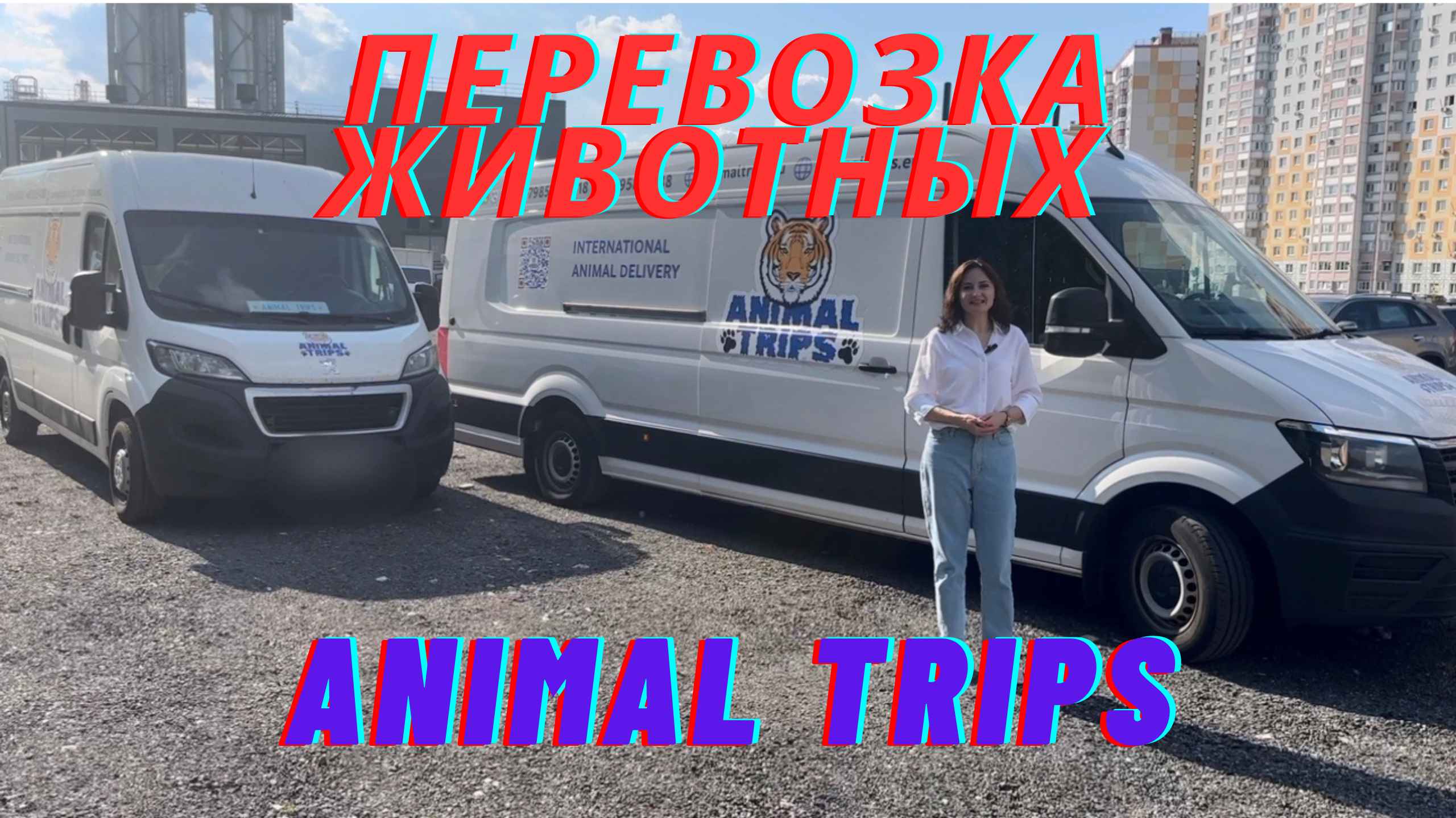 Перевозка l Доставка животных автомобилями компании Animal Trips