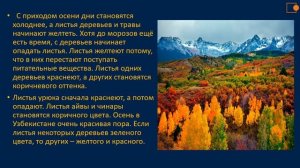 "Подготовка растений к зиме".  Окружающий нас мир