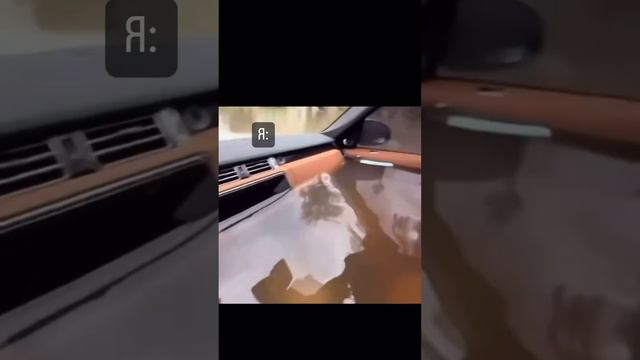 Всякое бывает 😄