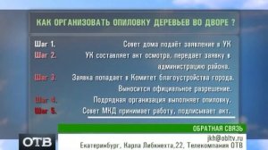 Кто имеет право спилить деревья во дворе? (Всё о ЖКХ, ОТВ, Екатеринбург, 7.08.13)