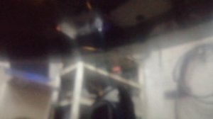 Поставил светодиодные Противотуманные фары на Мицубиси Каризма