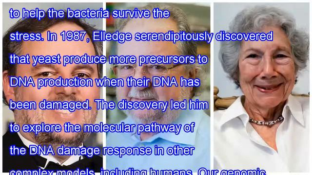Lasker prizes recognize ebola response, dna damage, and cancer research смотреть онлайн