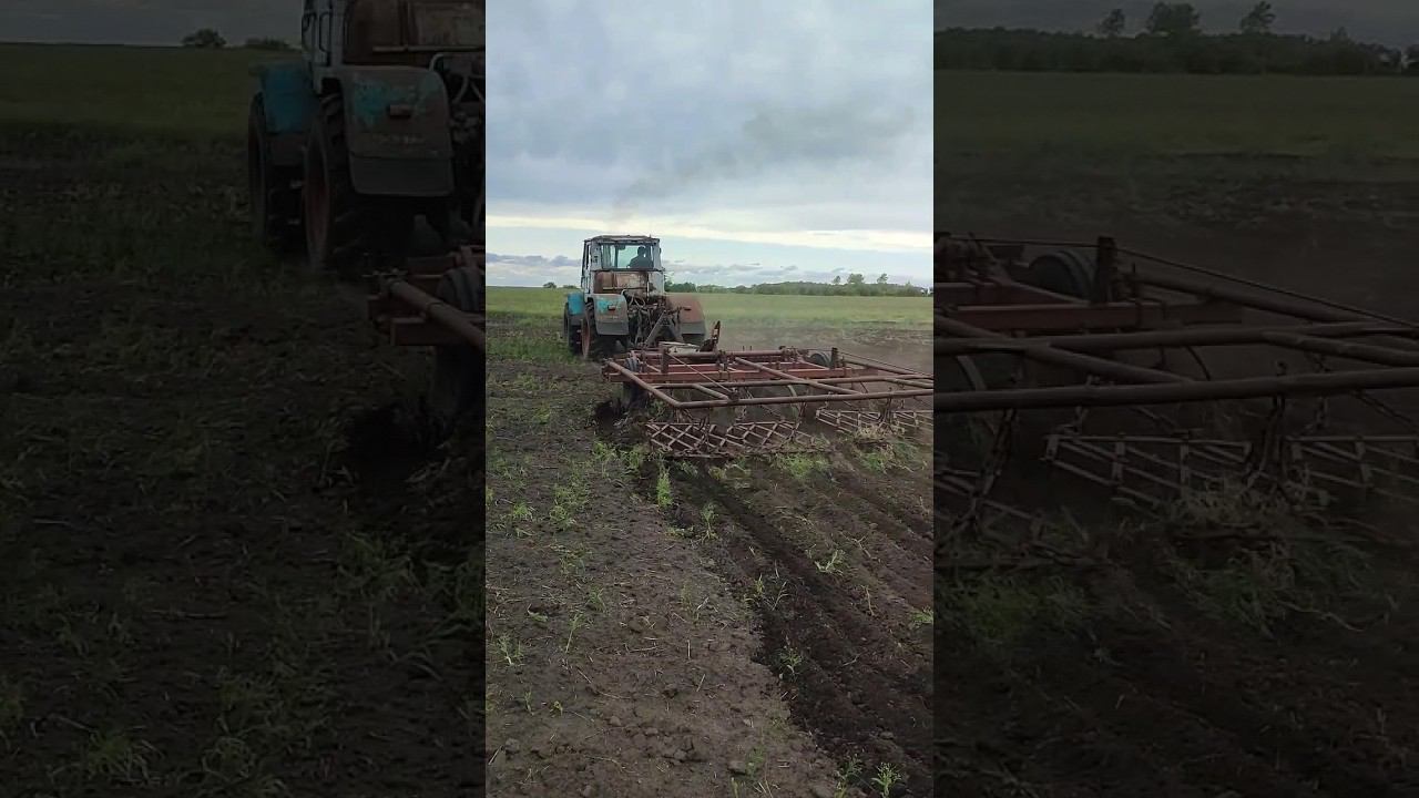 культивация на т150к смотреть онлайн