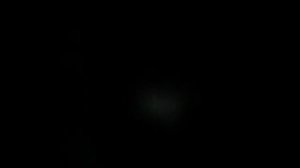 Что делать если волнистые попугаи не хотят залетать в клетку