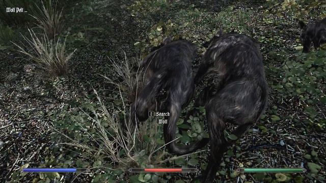 Skyrim Requiem #038 Richtung Falkreath Tag 10 - Let's Play Deutsch German смотреть онлайн