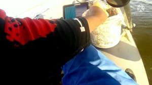 Сом на квок в Саратове. + Вручение выигрыша!!!!