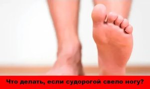 Судорогой свело ногу - что делать? 10 советов как снять или предупредить судороги ног