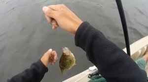 Humminbird PiranhaMAX 197c DI Review