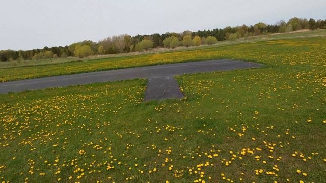 RC Heli Size Pros & Cons Pt 1 | OMP M1 Evo | May 9/23 | Flights 1&2 смотреть онлайн