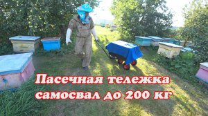 ПОЛУЧИЛИ ТЕЛЕЖКУ САМОСВАЛ, СОКРОЩАЕМ ПЧЕЛОСЕМЬИ В ЗИМУ.