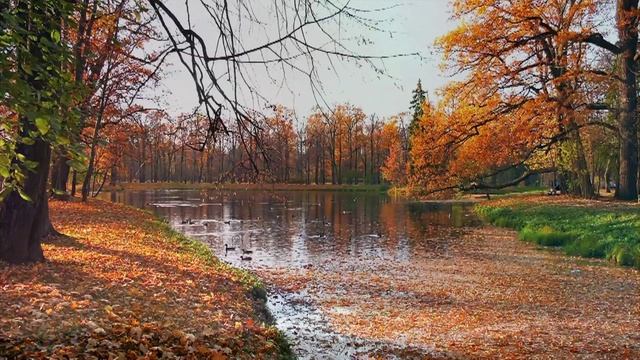 Григорий Лепс  - У берез и сосен (Юрий Антонов).mp4