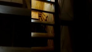 База отдыха Ёлки Палки Тюмень Восточный район окружная дорога, 5