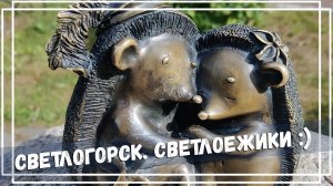 Светлогорск. Что посмотреть?