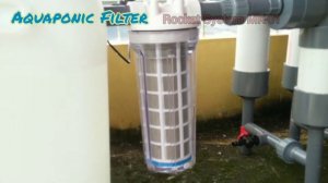 [VIRAL!!!] Aquaponic Filtration_Rocket System MK-01 by Radi Ihlas IPB University