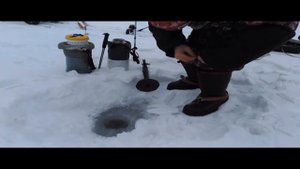 Жерлица-автомат Вашина