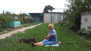 Воспитание щенка. Как научить щенка не грызть обувь? Команда "нельзя".