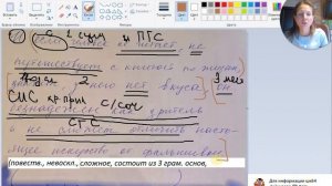 Синтаксический разбор сложноподчиненного предложения - 8 класс Paint