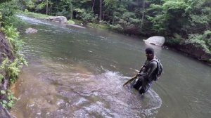 TROUT Fishing with GULP Minnows