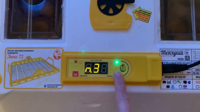 Инкубация куриных яиц в инкубаторе Теплуша Люкс 72 смотреть онлайн