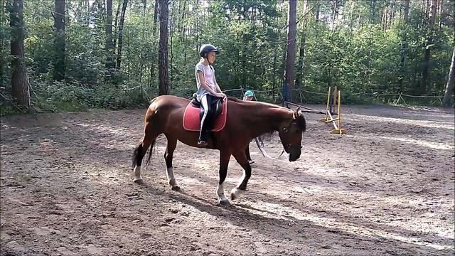 Бабушка верхом на лошади?? Наше первое занятия по верховой езде) смотреть онлайн
